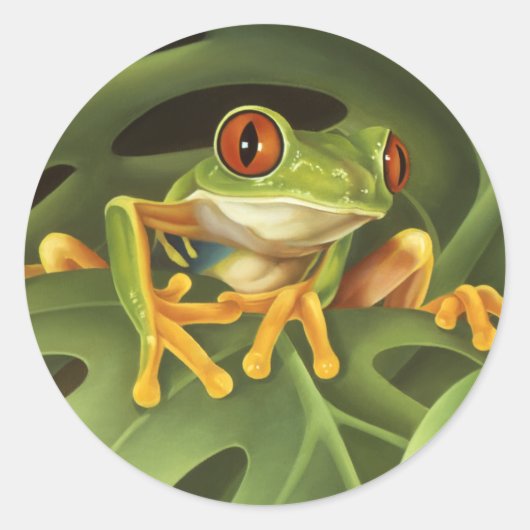 Sticker pour grenouille à arbre (Devant)