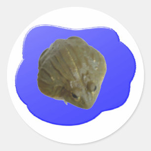 Sticker pour grenouille à bulles