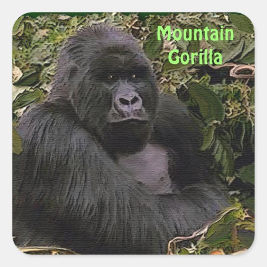 Sticker pour la faune africaine de Mountain Gorill (Devant)