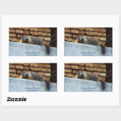 Sticker pour la faune de Hoary Marmot (Whistler) (Feuille)