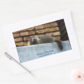 Sticker pour la faune de Hoary Marmot (Whistler) (Enveloppe)