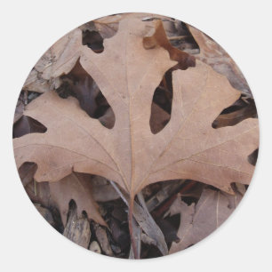 Sticker pour la feuille d'automne
