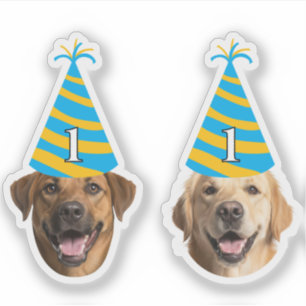 Sticker pour l'anniversaire de chien drôle - Visag