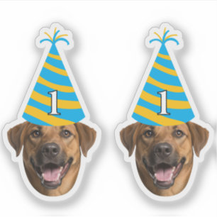 Sticker pour l'anniversaire de chien drôle - Visag