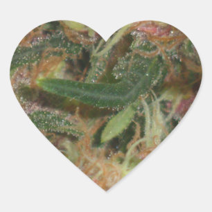 Sticker pour le coeur de mauvaises herbes