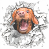 Sticker pour le visage de chien drôle (Devant)