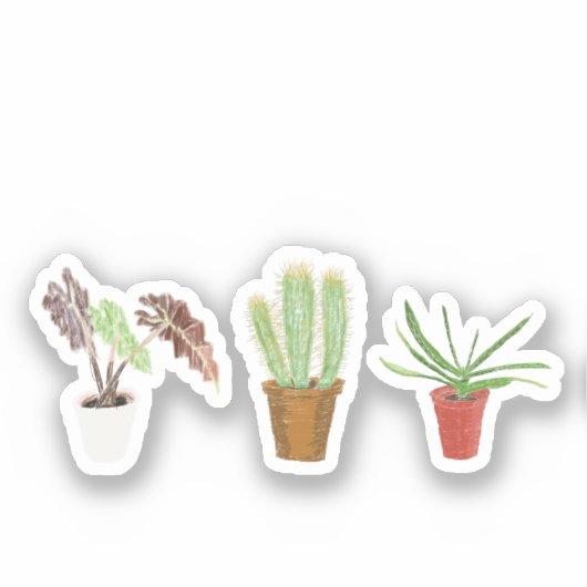 Sticker pour les plantes domestiques (Recto)