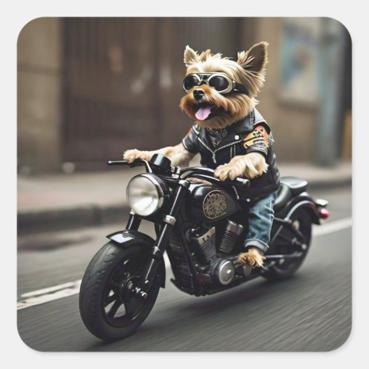Sticker pour moto Yorkie Riding (Devant)