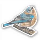 Sticker pour oiseau bleu oriental féminin (Devant)