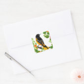 Sticker pour oiseaux sauvages Baltimore Oriole (Enveloppe)