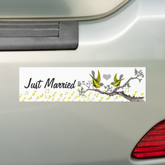 Sticker pour oiseaux Vintages mariés (En voiture)