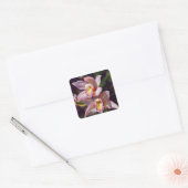 Sticker pour orchidée de Cymbidium (Enveloppe)