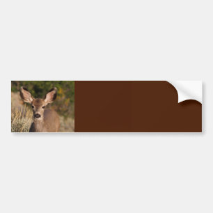 Sticker pour pare-chocs Arrière - plan cerf