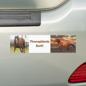Sticker pour pare-chocs de Thoroughbreds (En voiture)