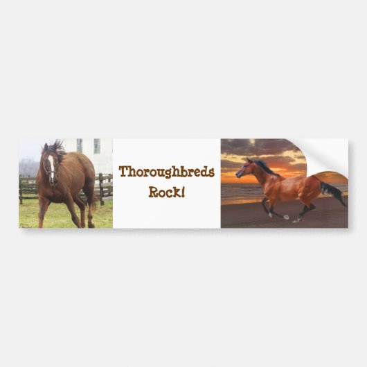 Sticker pour pare-chocs de Thoroughbreds (Devant)