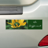 Sticker pour pare-chocs pour motifs différents (En voiture)