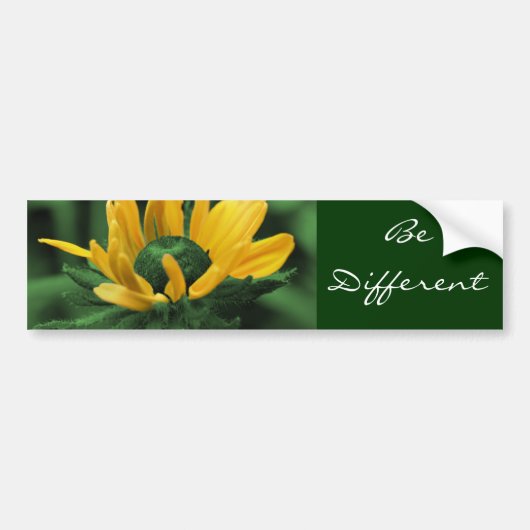 Sticker pour pare-chocs pour motifs différents (Devant)