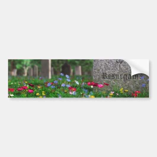 Sticker pour pare-chocs Resurgam (Devant)