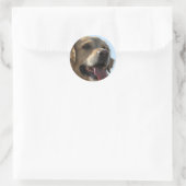 Sticker pour rétrificateur d'or (Sac)