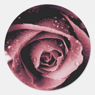 Sticker pour Rose à vin