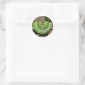Sticker pour serpent Emerald Tree (Sac)