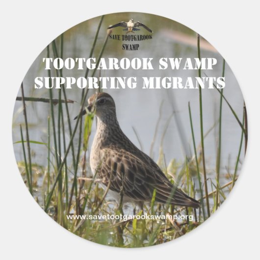 Sticker pour soutenir les oiseaux migrateurs (Devant)