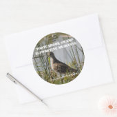 Sticker pour soutenir les oiseaux migrateurs (Enveloppe)