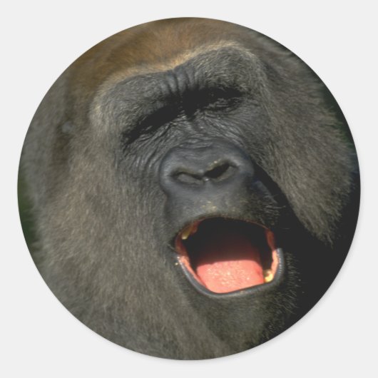 Sticker pour vous de créer votre propre autocollan (Devant)