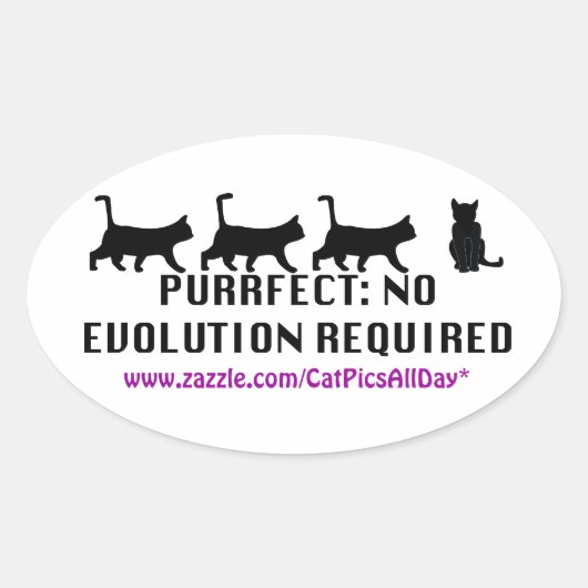 Sticker Promo Evolution Purrfect (Devant)