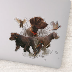 Sticker Pudelpointers, Chasse chasser chaudière faisan