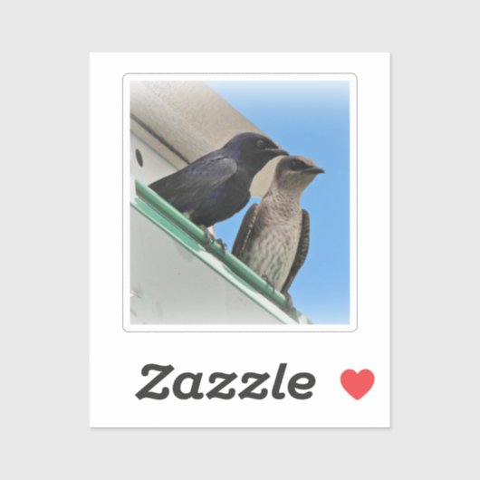 Sticker Purple Martin Pair (Feuille)