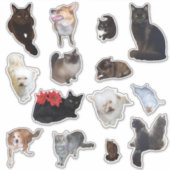 Sticker Quatorze mignons photo de chien et de chat (Devant)