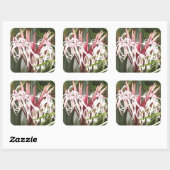 Sticker Queen Emma Crinum Lilies (Feuille)