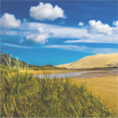 Sticker Quicksand stream près de 90-Mile Beach, Nouvelle-Z (Devant)