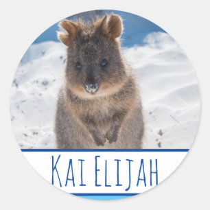 Sticker Quokka Beach Personnalisé Blue Boys