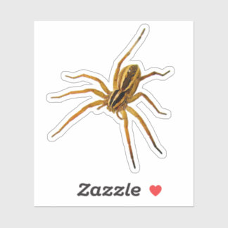 Sticker Rabid Wolf Spider (Rabidosa rabida)