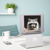Sticker Raccoon 004 (Ordinateur portable sur le bureau)