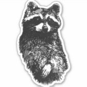Sticker Raccoon convivial (Devant)