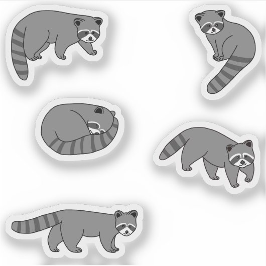 Sticker Raccoons (Devant)