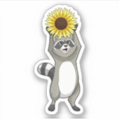 Sticker Racoon avec tournesol (Devant)