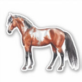 Sticker Rain Spirit (Devant)