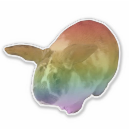 Sticker Rainbow Paddy (Devant)
