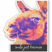 Sticker râler llama sourit juste parce que citation (Devant)