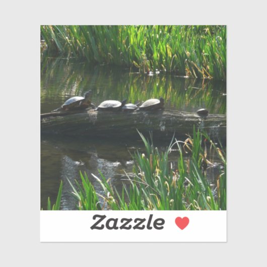 Sticker Rangée de tortues Green Nature Photo (Feuille)