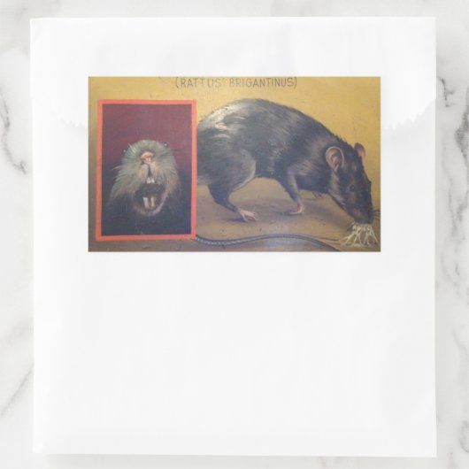 Sticker Rattus Brigantinus (Sac)