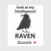 Sticker Raven Regarde Mon Corbeau D'Intelligence (Feuille)