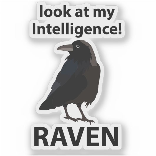 Sticker Raven Regarde Mon Corbeau D'Intelligence (Devant)