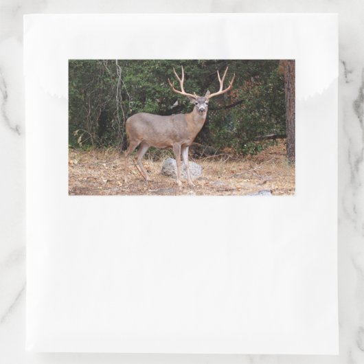 Sticker Rectangle cerf (Sac)