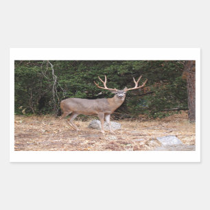 Sticker Rectangle cerf
