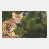Sticker Rectangle de chat Savannah (Devant)